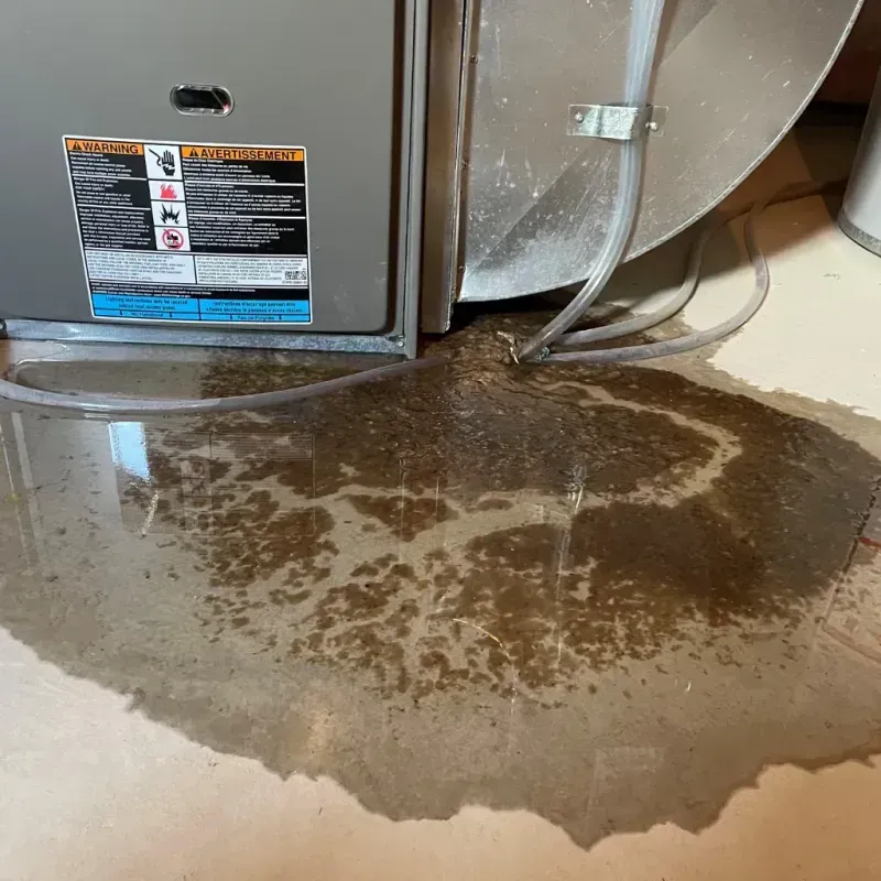 Appliance Leak Cleanup in Belle Plaine, MN